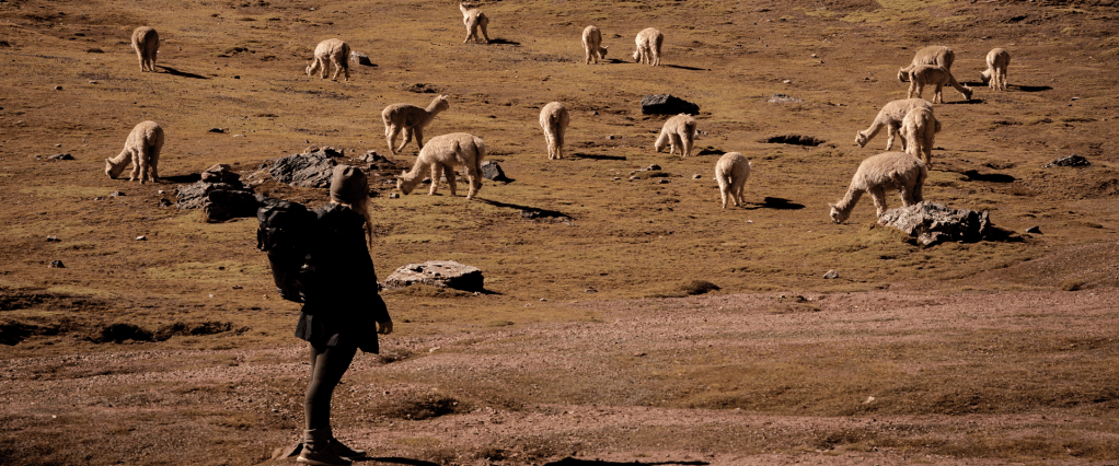 Sinterklaas bestaat wél&nbsp;?!